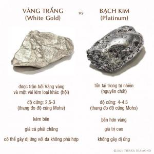 Sự khác nhau của nhẫn đôi bạch kim và nhẫn đôi vàng trắng