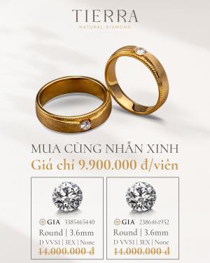 Giá kim cương thiên nhiên có đắt không? Dưới 10 triệu có mua được kim cương hay không? - 3