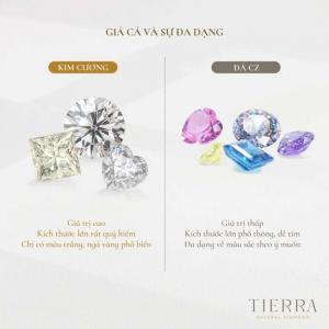 Gía cả & sự đa dạng.jpg