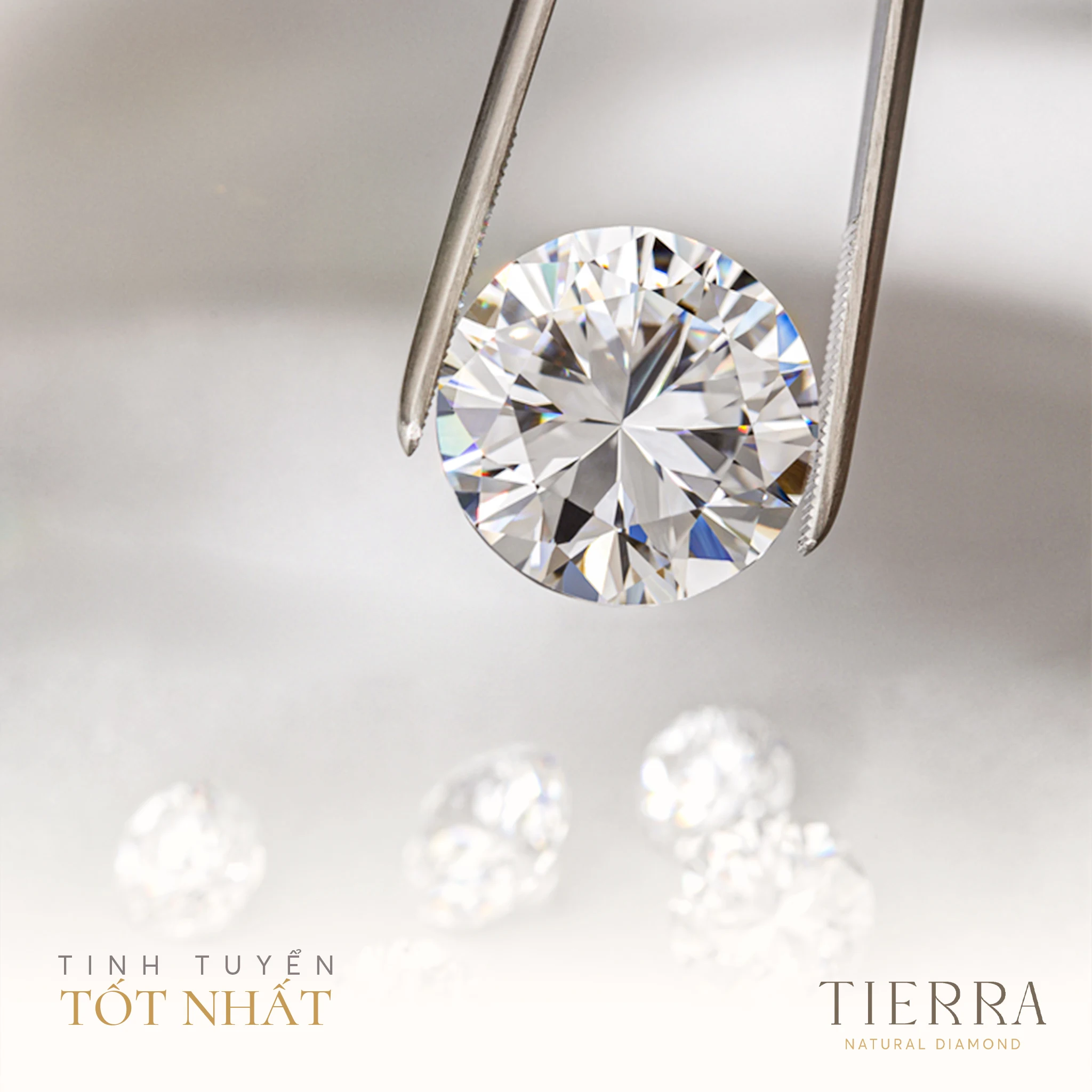 Tierra Diamond - Khám phá địa chỉ mua nhẫn cưới, nhẫn cầu hôn được cặp đôi trẻ ưa chuộng - Hình 4