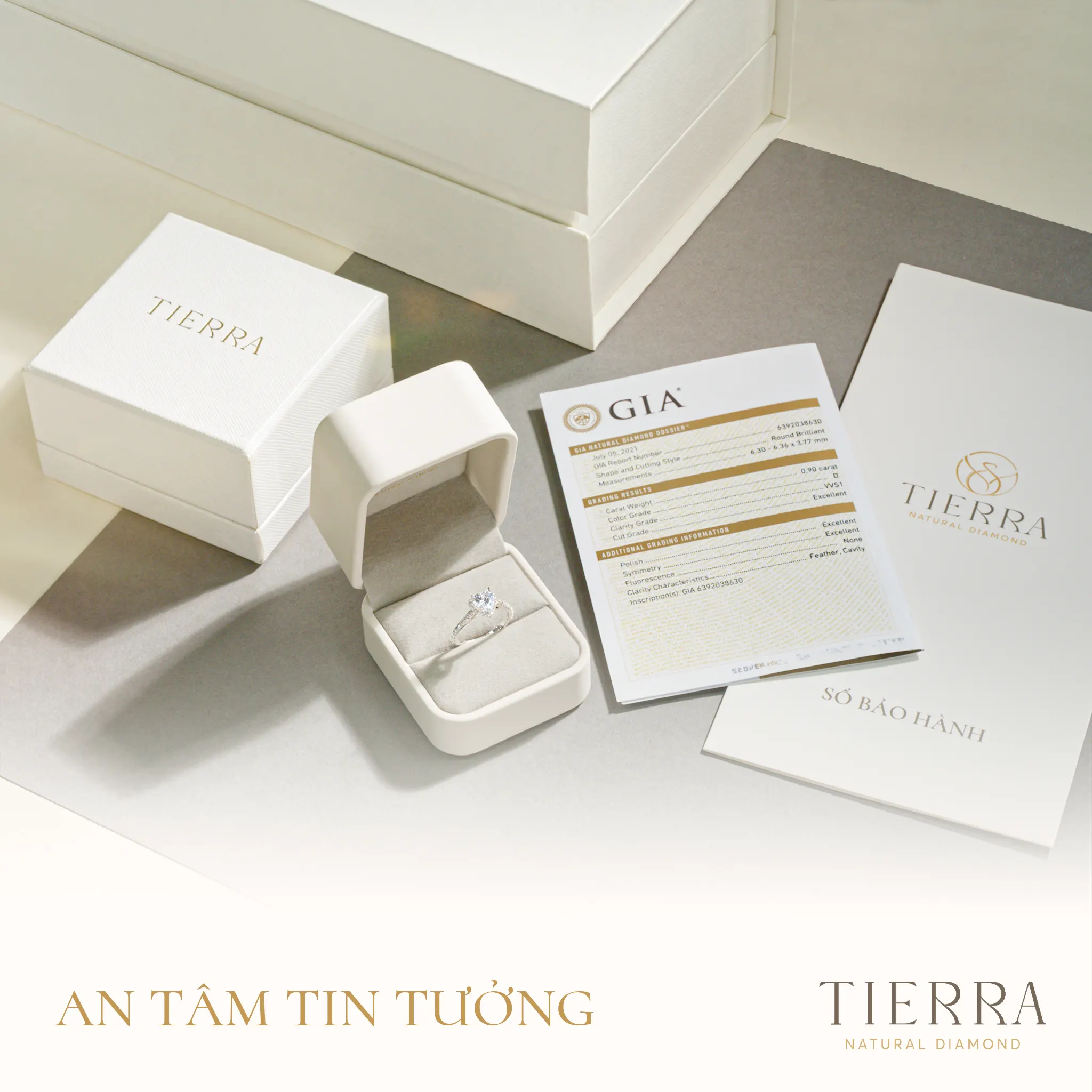 Tierra Diamond - Khám phá địa chỉ mua nhẫn cưới, nhẫn cầu hôn được cặp đôi trẻ ưa chuộng - Hình 5