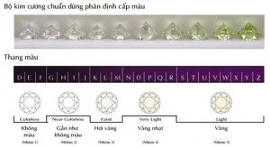 Màu sắc là một yếu tố khó để đánh giá