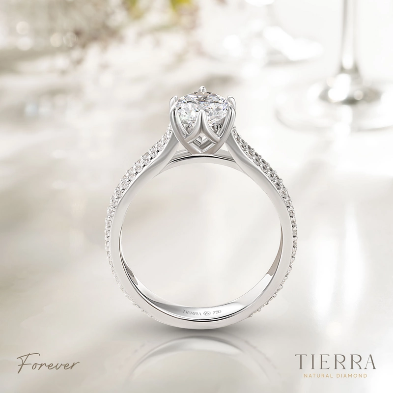 nhan-cau-hon-bach-kim-kim-cuong-forever-nch1019-an-eternal-promise-6uTvljoDLO.webp