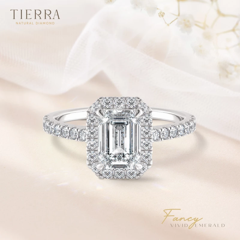 Nhẫn cầu hôn bạch kim kim cương Halo đai tấm NCH8202 - Love Without Limits