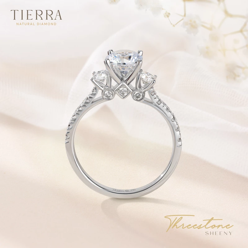 Nhẫn cầu hôn bạch kim kim cương Threestone có 3 bridge accent NCH3205 - Love Without Limits